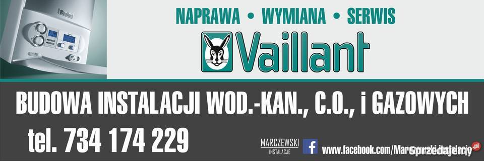 Hydraulik Grzejniki Vaillant Gaz Woda Co Serwis pomorskie usługi