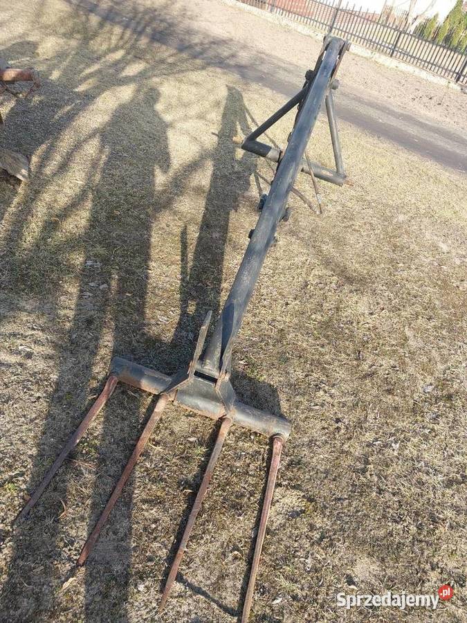 Sprzedam tura Ślesin