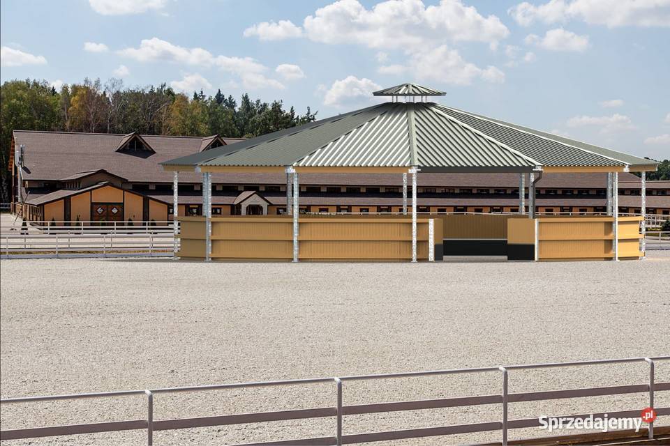 Lonżownik Ujeżdżalnia Karuzela 10m 15m 21M Pabianice