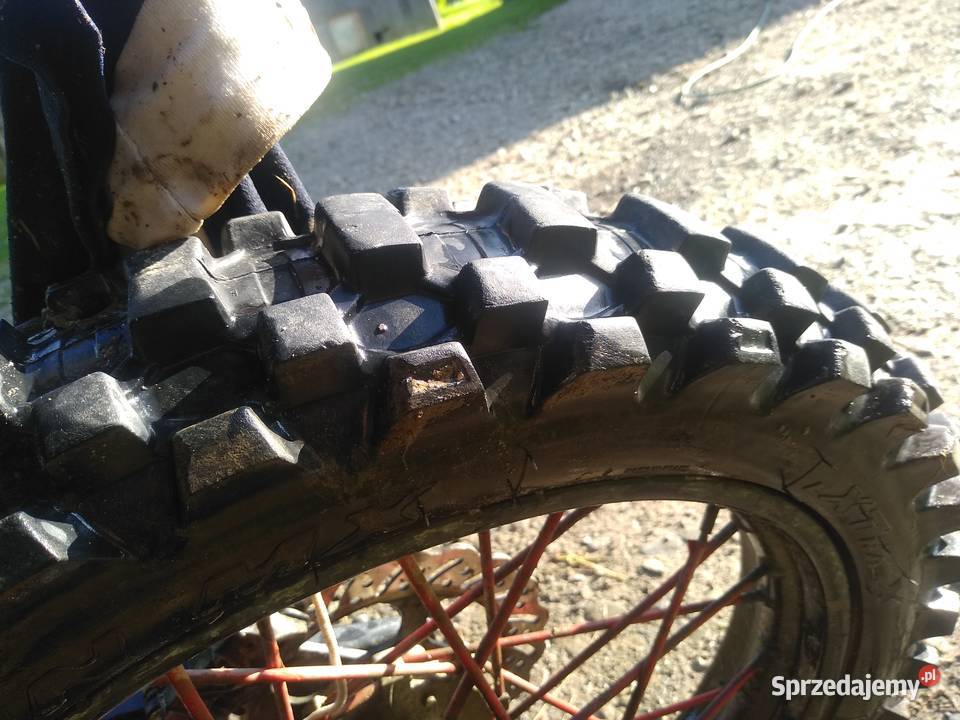 diabolini 250 agb 38 Rok produkcji 2018 Grybów