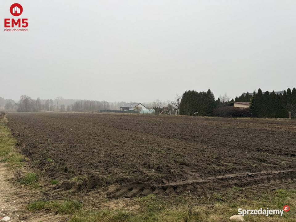 Sprzedam grunt Niewodnica Kościelna 9256m2