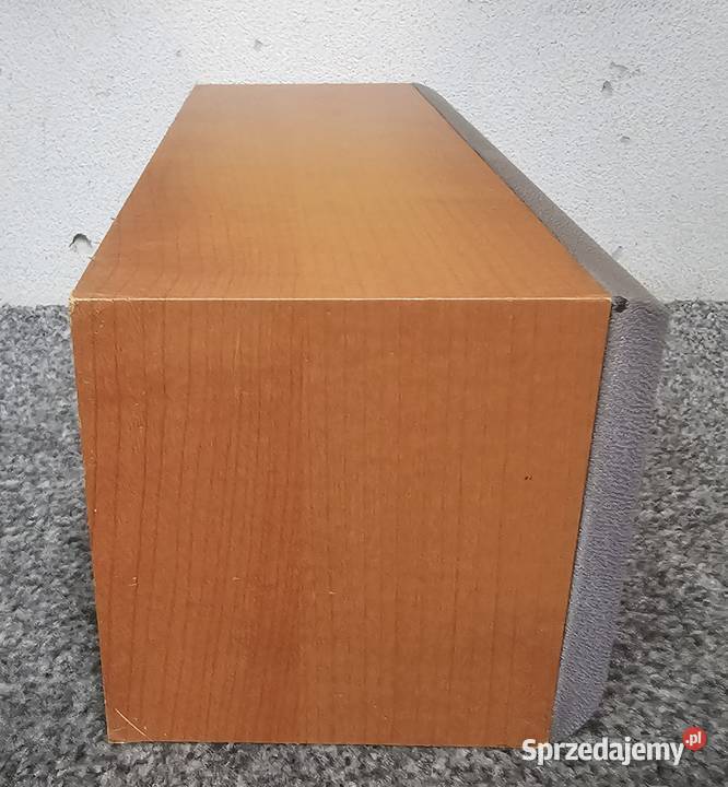 Kolumna centralna Sony SSCN250 100W do kina małopolskie