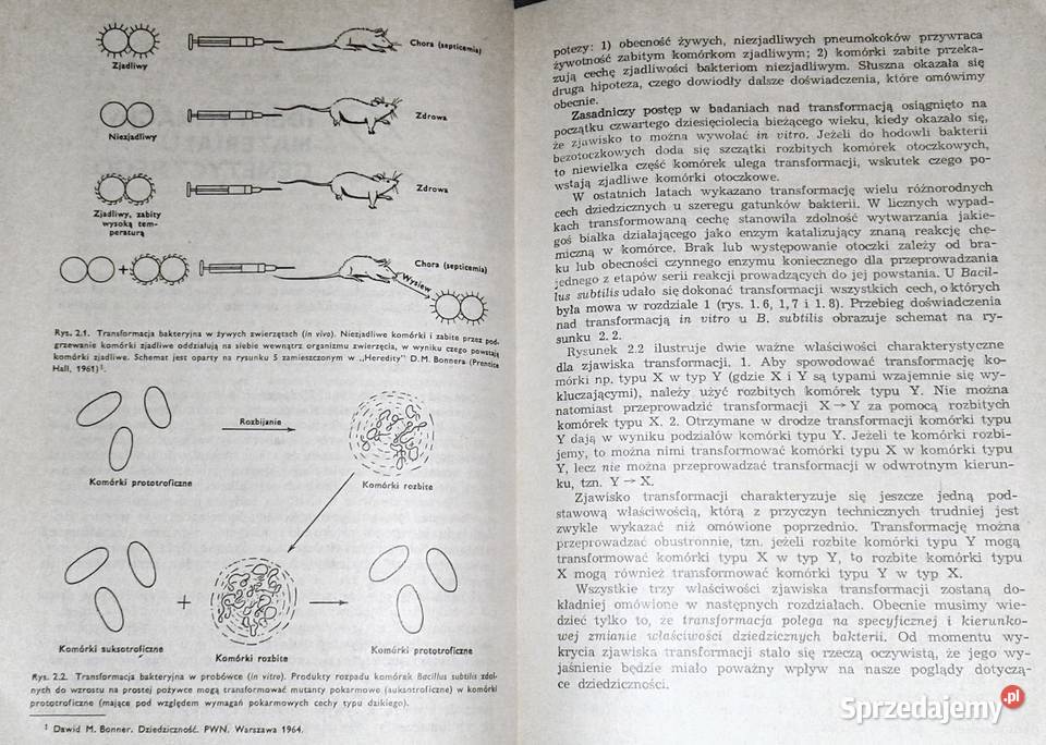 Mechanizmy dziedziczenia Franklin W Stahl Rok wydania 1969 Pozostałe Chełm