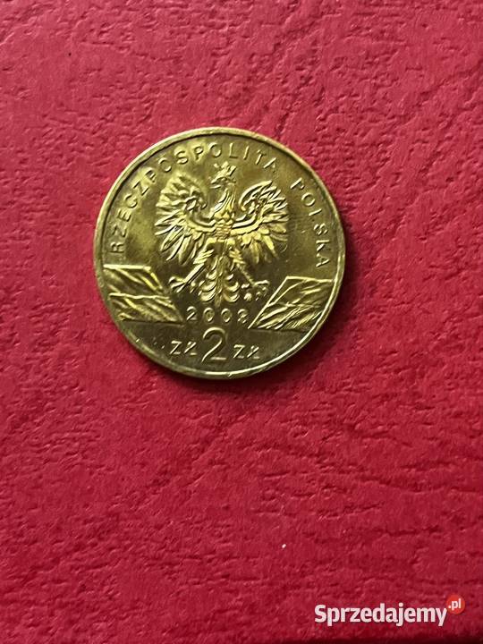 Węgorz Eu rzadka moneta Inowrocław