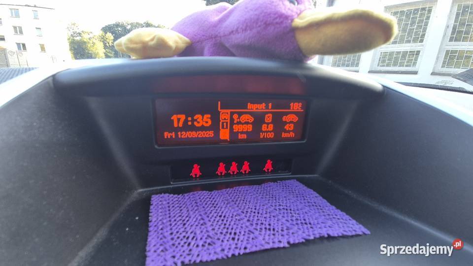 Peugeot 207 Niezdara
