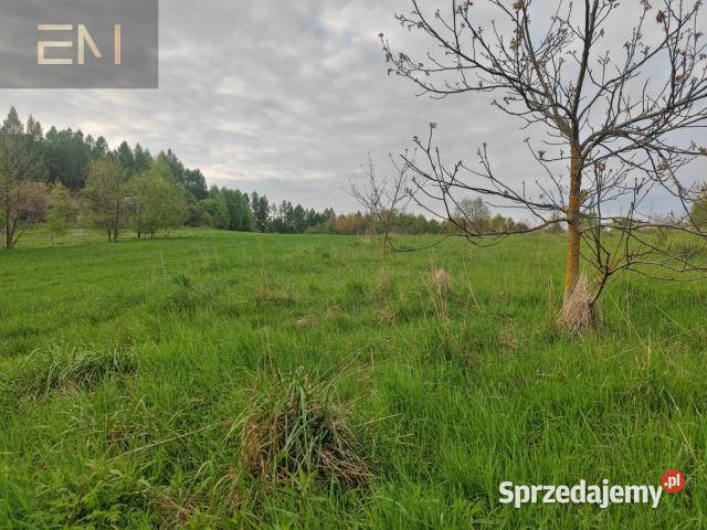Działka Hadle Kańczuckie 33000m2 sprzedam