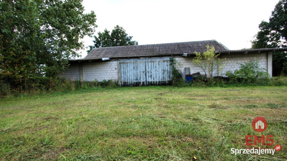 Lokal Jeńki 150m2 przemysłowy Wynajem sprzedam