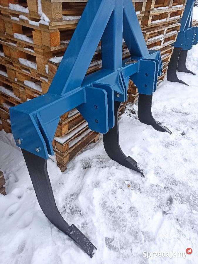 Głębosz 2 zęby zębny