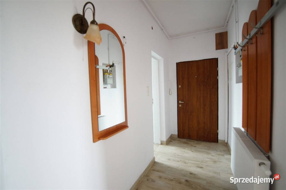 Do wynajęcia mieszkanie trzy pokojowe Opole sprzedam