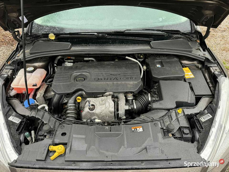 Ford Focus 15 diesel Salon Polska mazowieckie Pruszków
