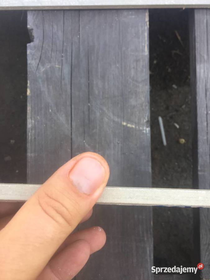 Gres płytka podłogowa botania gris i botania