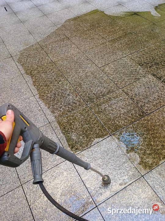 Kompleksowe ogrodnictwo pielęgnacja i wycinka Kraków