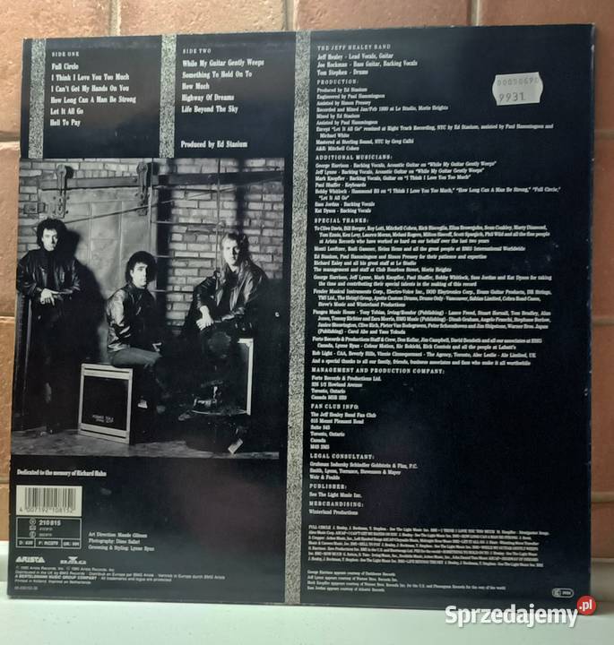 The Jeff Healey Band Hell To Pay Płyta winylowa mazowieckie Brwinów