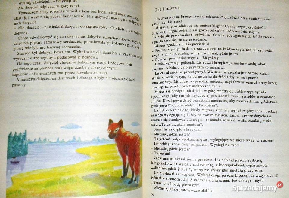 Bajki ludów północy Aleksander Barczewski i inni Rok wydania 1986 Chełm