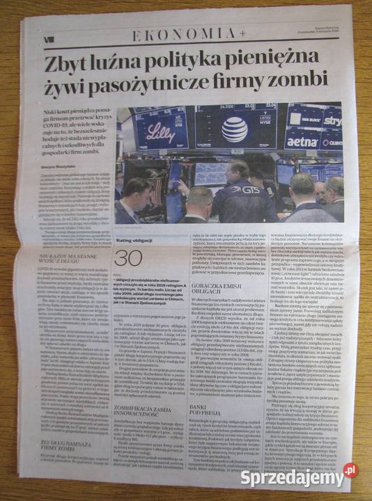 Ekonomia 15 Gazeta Wyborcza miękka