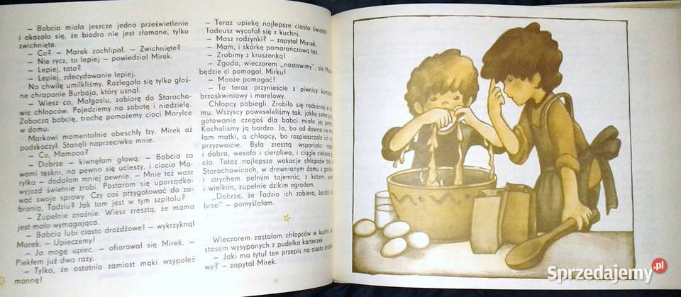 Śmieszne makaron rośnie Barbara Winklowa Rok wydania 1988 lubelskie Chełm