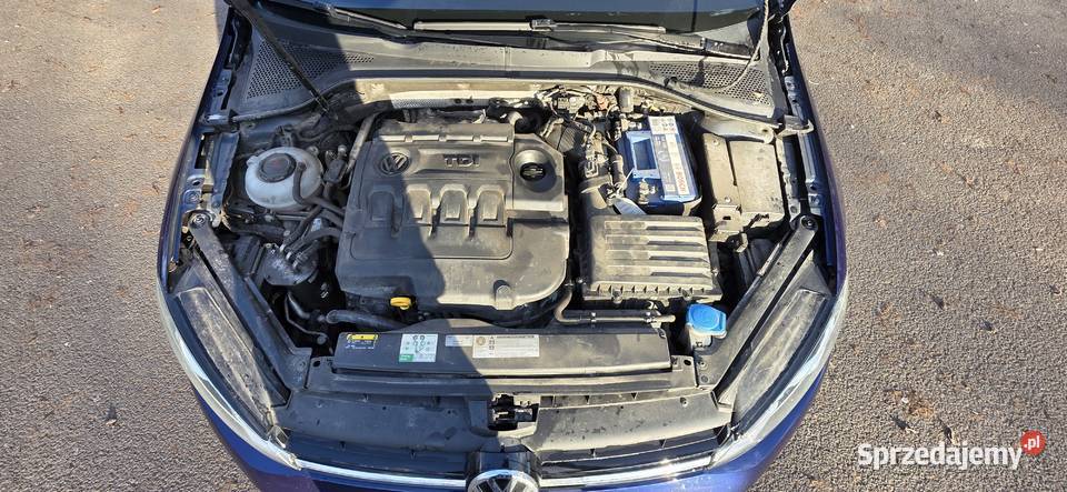 Volkswagen Golf 2017r Comfortline 16tdi 115 Kombi wielkopolskie Kościan