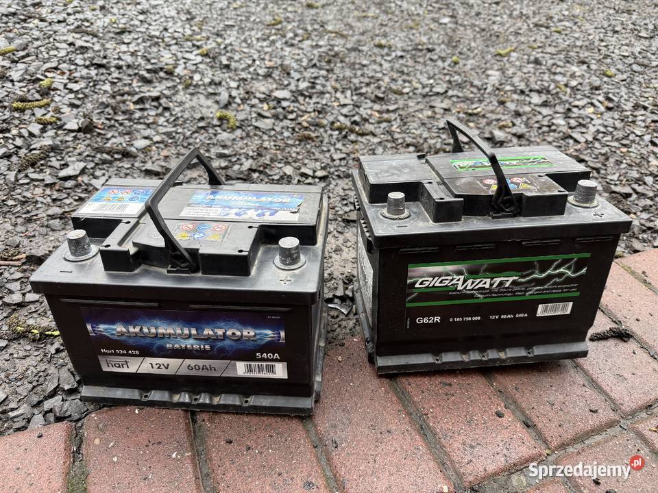 Akumulator Bateria 12v 60Ah 540A Szprotawa