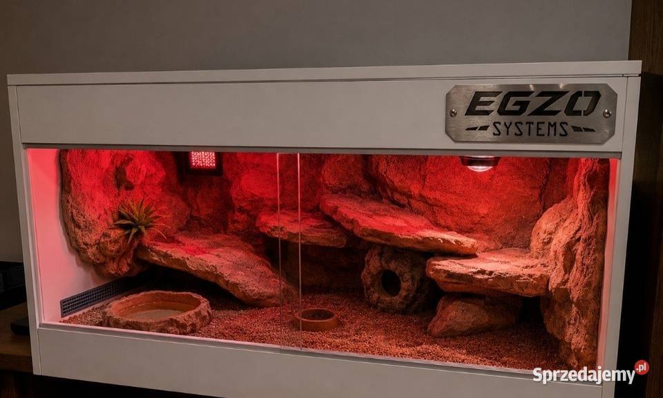 Terrarium żółwia greckiego gekona lamparciego