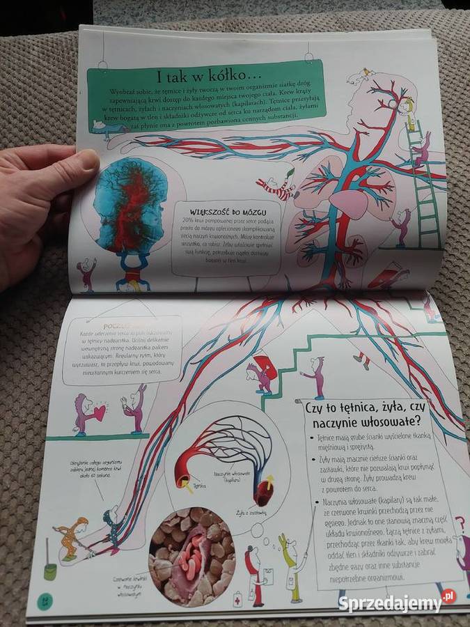 National Geographic Małe Mózgofalki poznają Kraków sprzedam