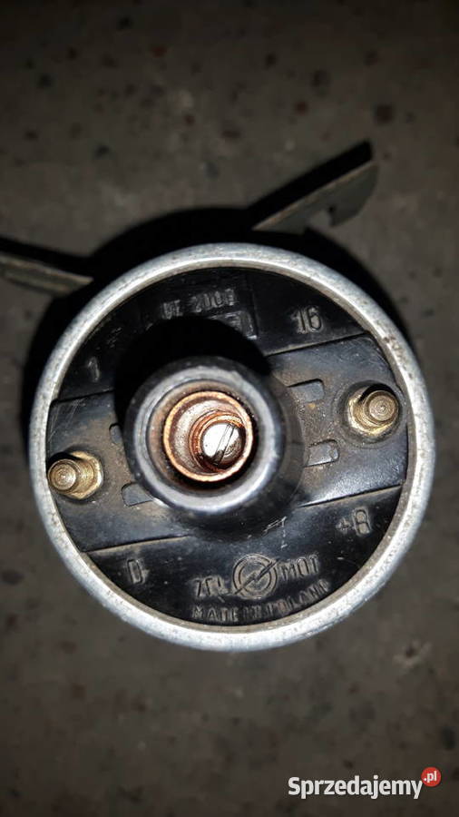 Cewka zapłonowa do żuka Poznań