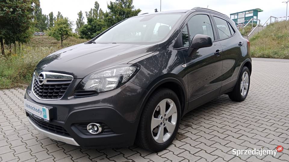 Pełen Carpass Zarejestrowany komputer pokładowy