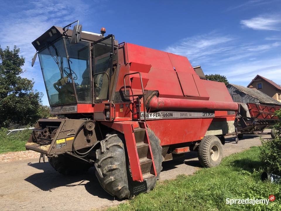 Massey Ferguson 31xp Dronningborg pomorskie Mikoszewo