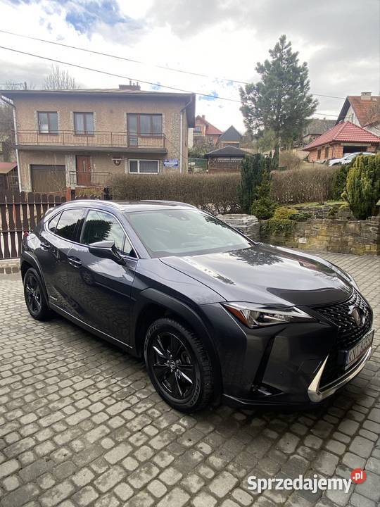 Lexus ux 250 h Rabka-Zdrój sprzedam