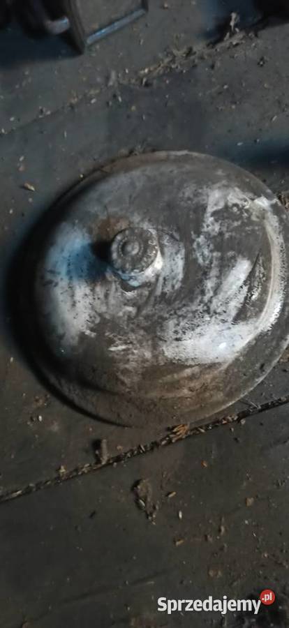 Zabytkowe butelki i porcelana Biała