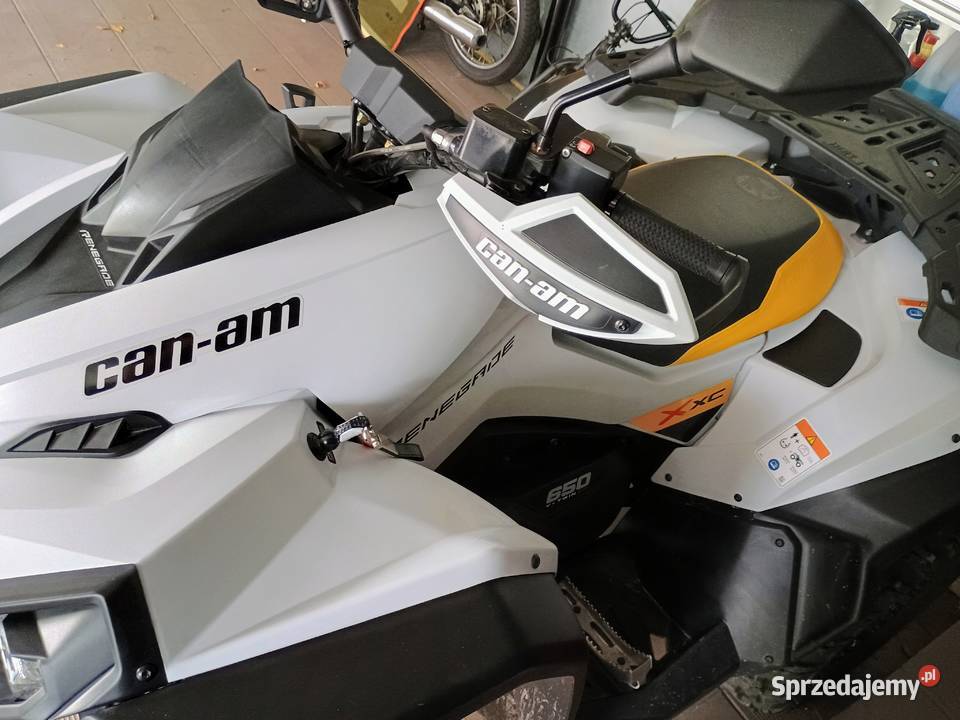 Can am Renegade xxc 650
