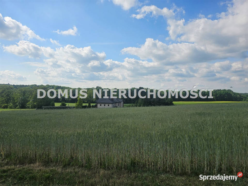 sprzedaży gruntu Tworzyjanki 3000m2