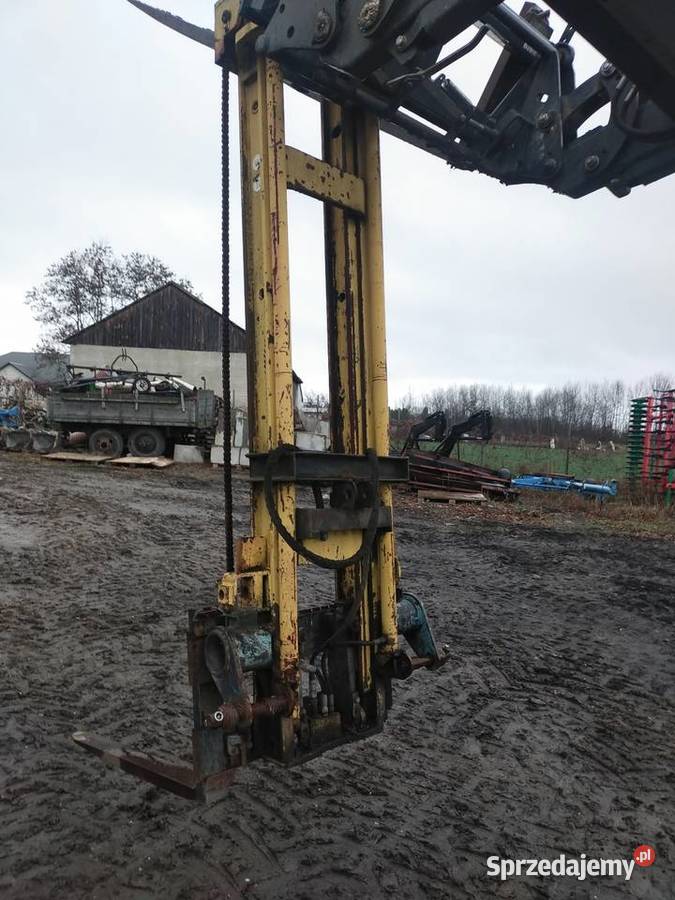 Widlak lubelskie Ignatów-Kolonia