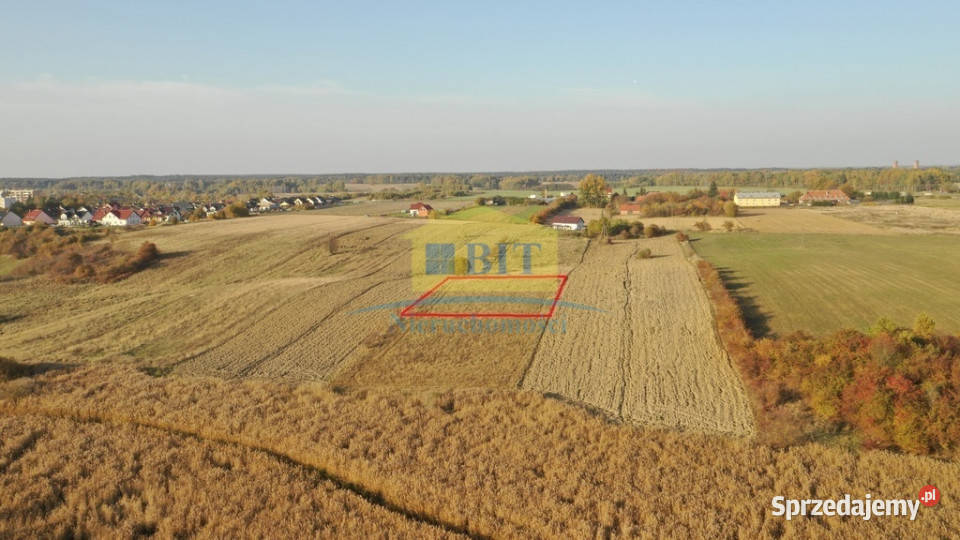 Działka budowlana o pow 1465 m2 w Złocieńcu Złocieniec