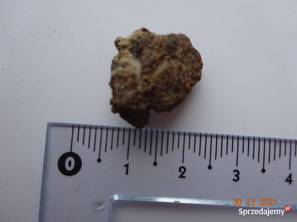 45 meteoryt Jiddat al Harasis 091 chondryt L6 Gorzów Wielkopolski sprzedam