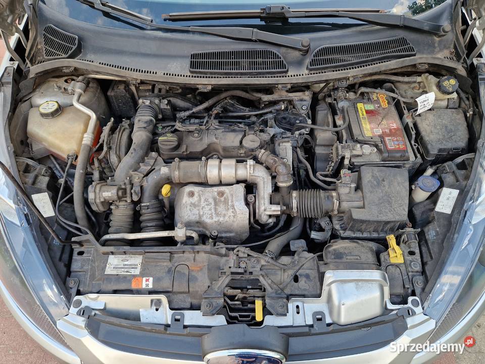 Ford Fiesta VII 16 95 stan Oszczędne Możliwa Bydgoszcz