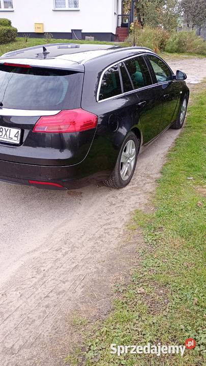Opel Insignia 2011 Tczewskie Łąki