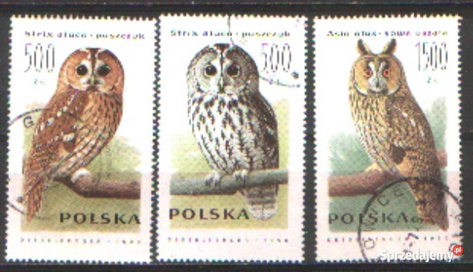 Zn Fi 5157 8 50 kas 1990