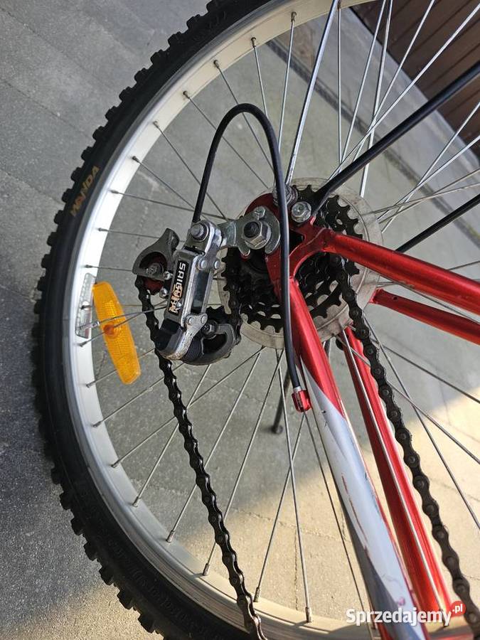 Rower Carina Rayon z niską ramą koła 24 Góra