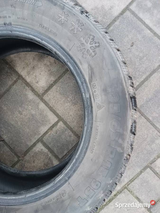 Opony ZIMOWE STRIAL WINTER 19565 R15 65mm 2018 65 Łochów