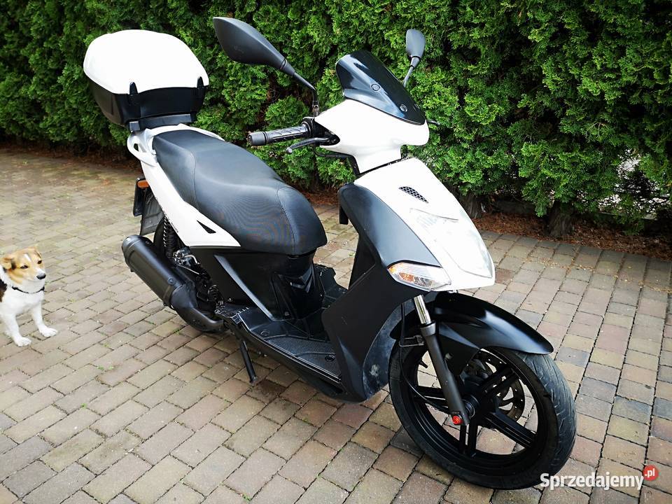 Kymco Agility 150 , www.italmotopila.pl