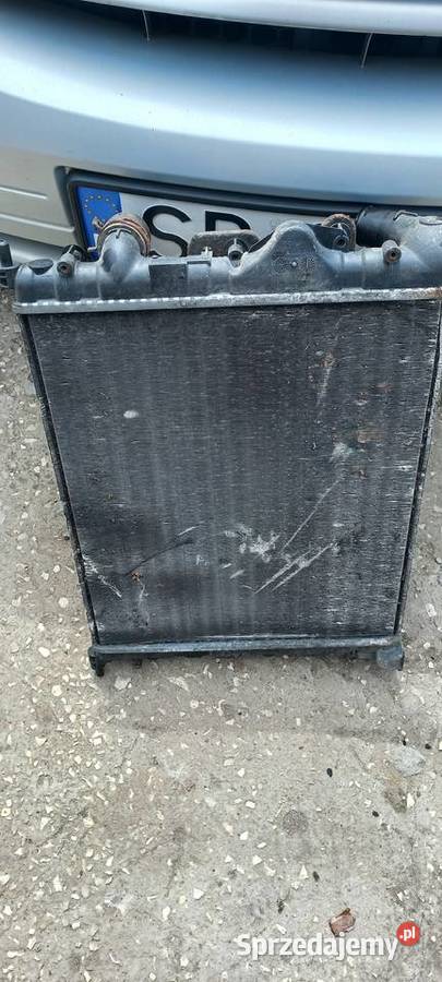 Renault Thalia clio wentylator chłodnica osobowe Morawica