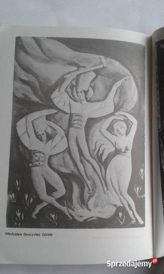 Literatura polska lat19181939 R Matuszewski Podręczniki