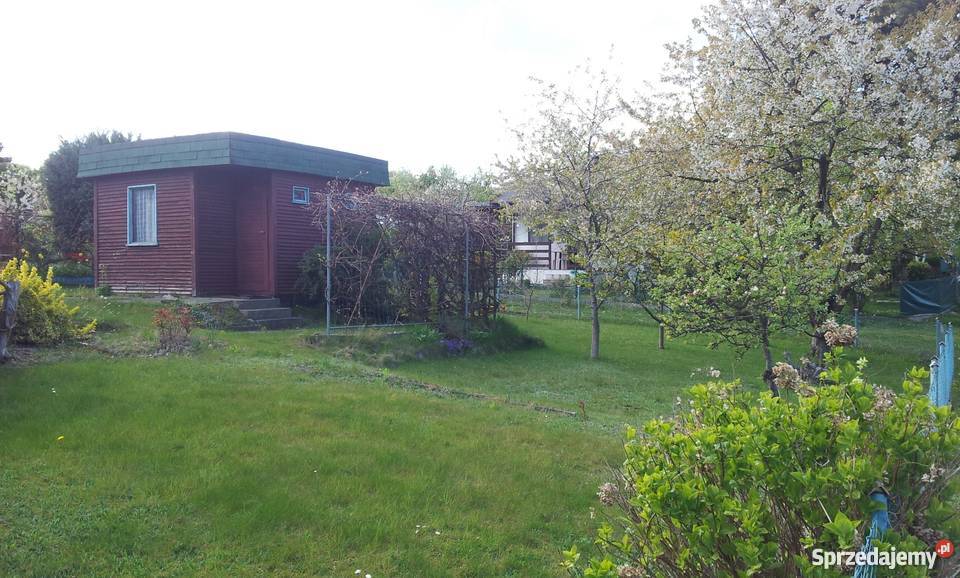 Sprzedam działkę na ROD Domagalskiego w Gdyni utwardzona pomorskie Gdynia