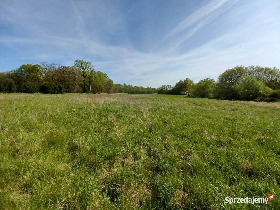 Działka rekreacyjna Gliniany