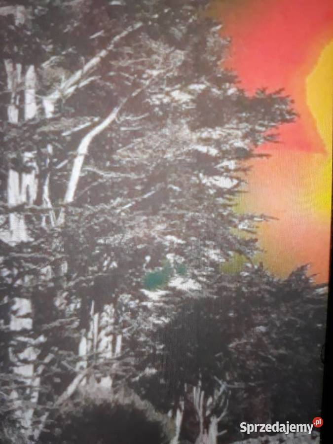 Archiwum rockowej psychodelii STOW LIKE Flite