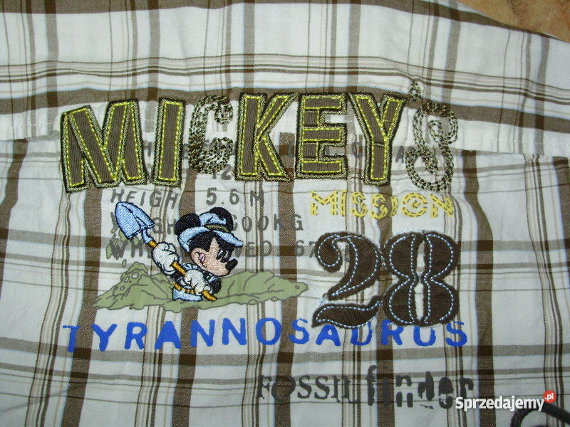 DISNEY CA 122 BOSKA Myślenice