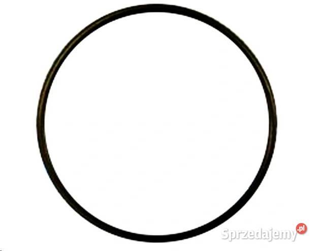 Oring 41x4 Kobylnica