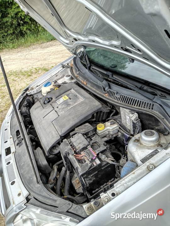 Volkswagen Polo 2006r 12 64 pomorskie Starogard Gdański
