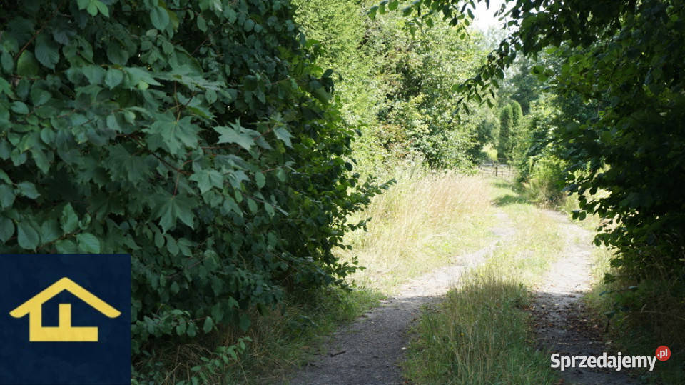 Działka gruntowa w Otwocku Wielkim pałacem Otwock Wielki