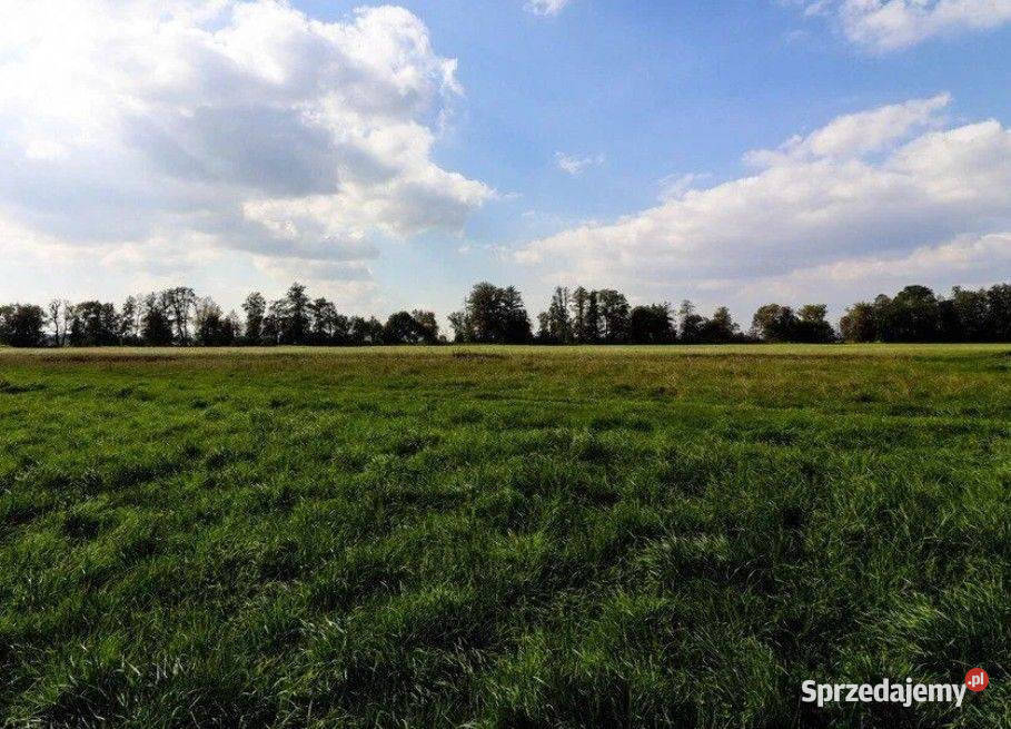 Cholerzyn działki budowlane 165 ara Sprzedaż małopolskie